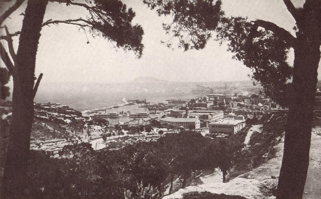 205-album, photo 10.jpg